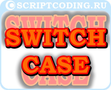 js switch case