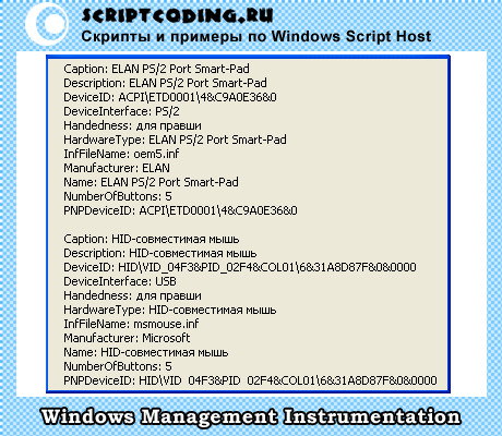 Информация про компьютерную мышь средствами Windows Script Host